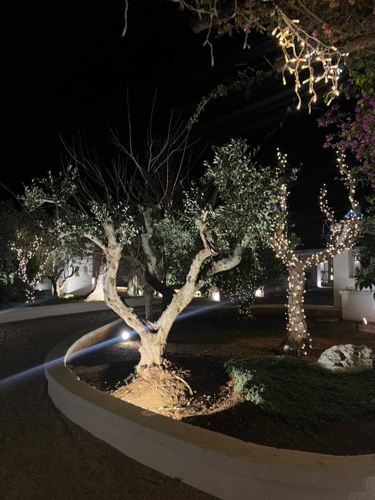 Masseriola Antiche Fogge By Apulia Hospitality Fasano Exterior foto